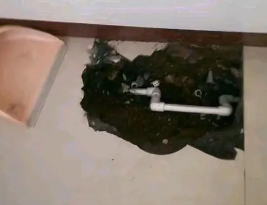 瑞安卫生间测漏水多少钱
